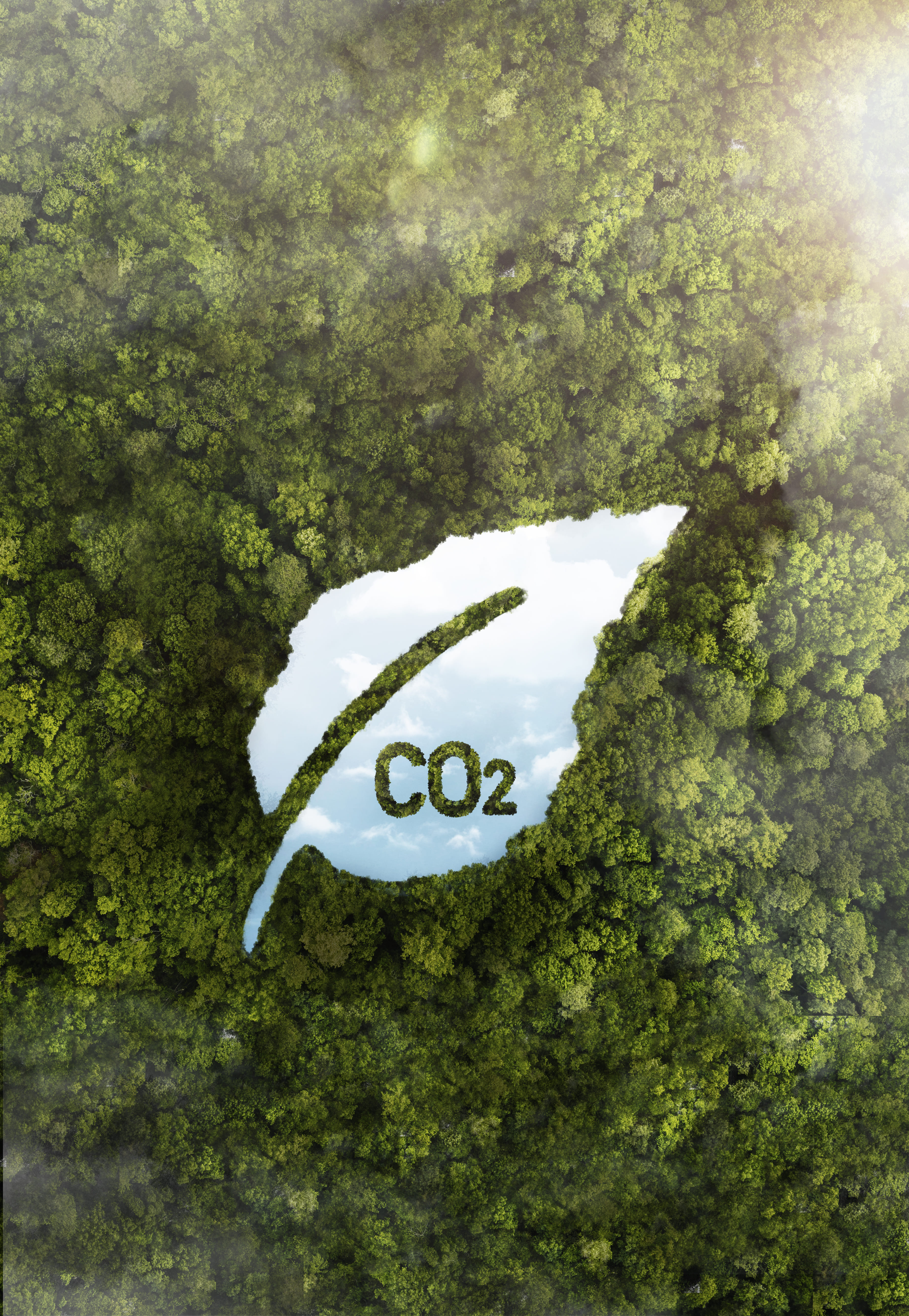 Clean air thanks to Direct Air Capture (DAC)